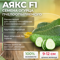 АЯКС F1 семена огурца (Nunhems | Alexagro)
