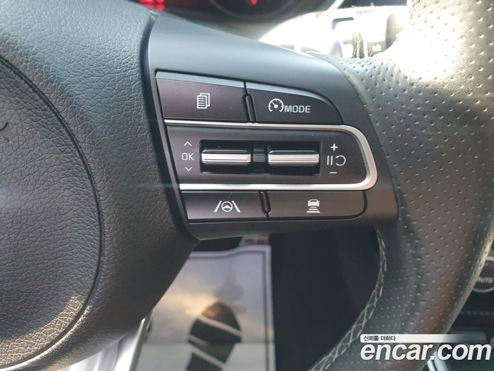 Kia Stinger Meister 2.5 AWD Platinum (08.2021)