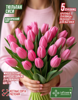 Тюльпан Луковица, Сиси, 5 шт крупные