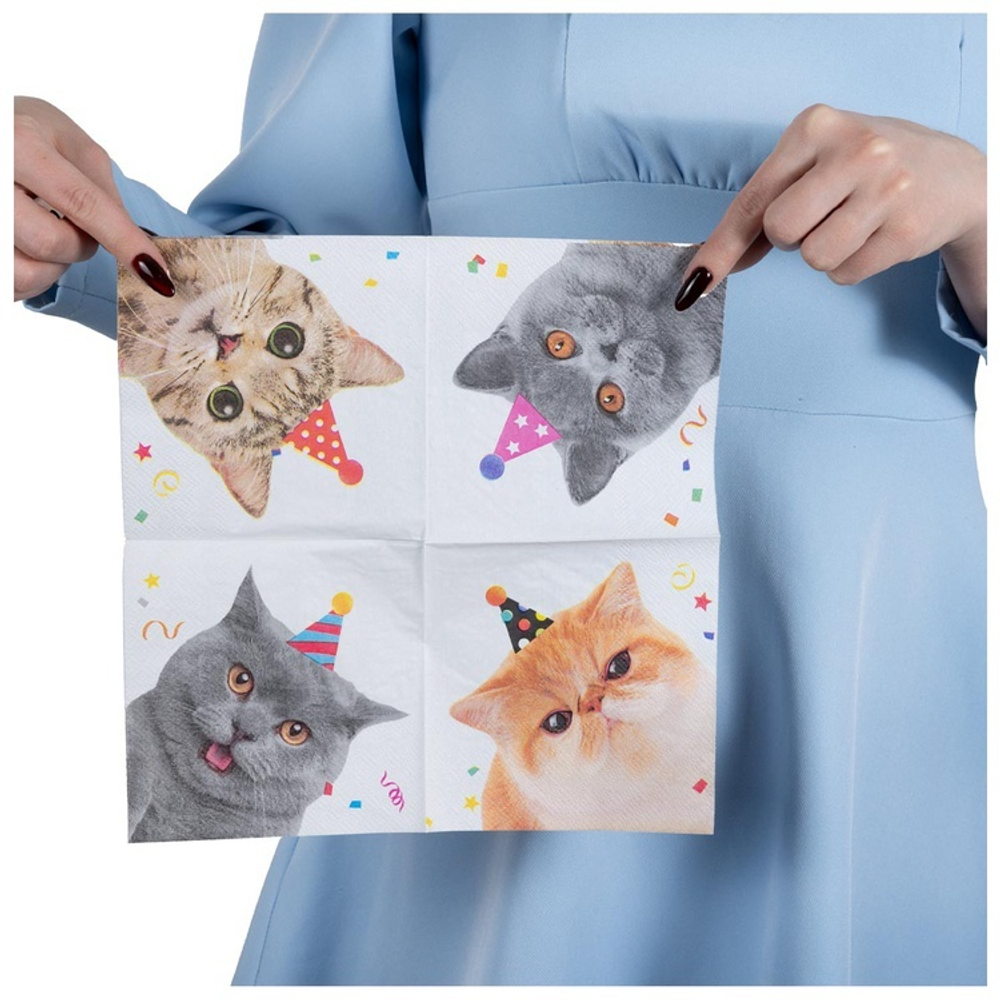Салфетки «Котики» фотографичные, 25 см / 33 см, 12 шт