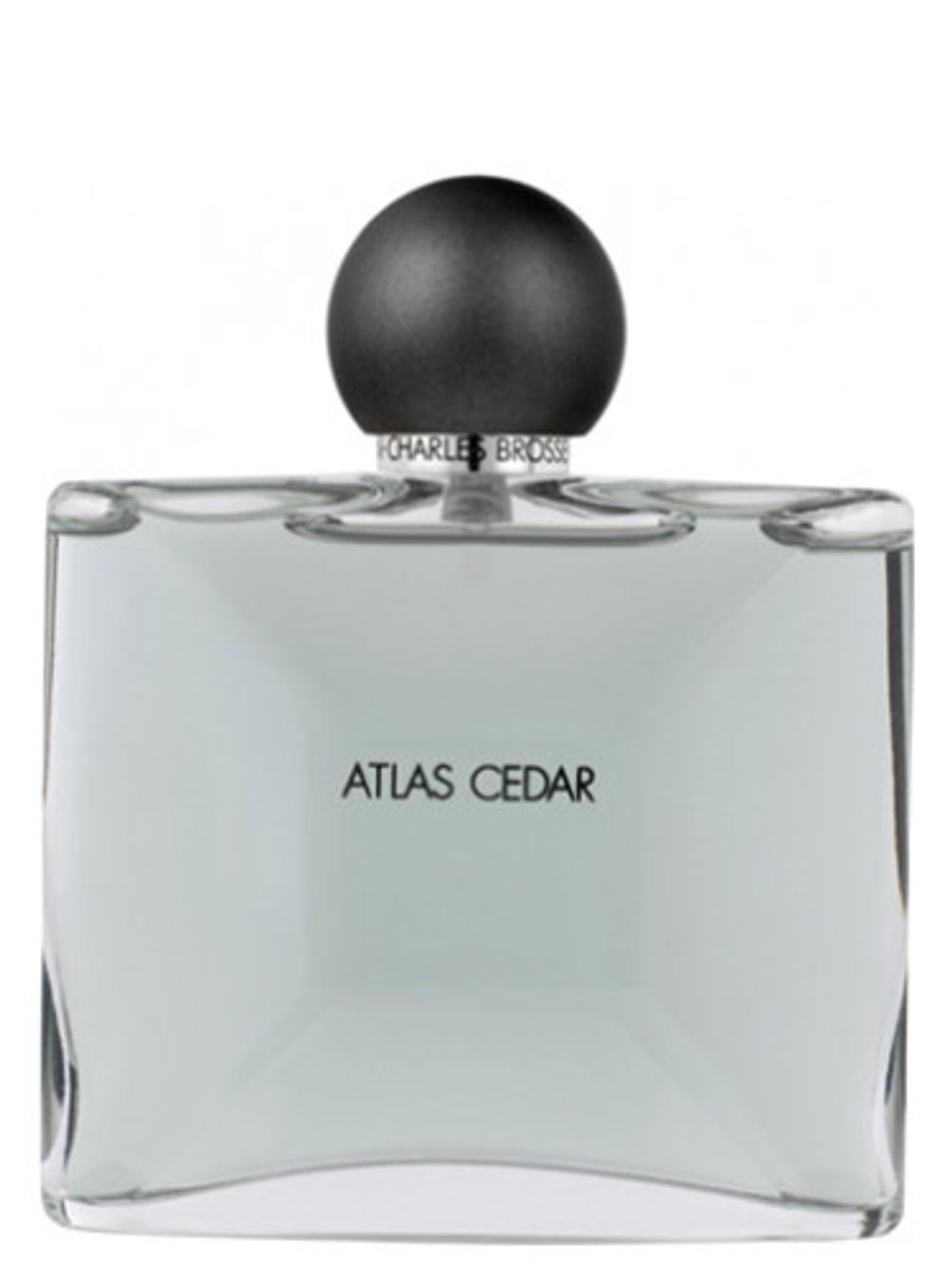 Jean Charles Brosseau Atlas Cedar