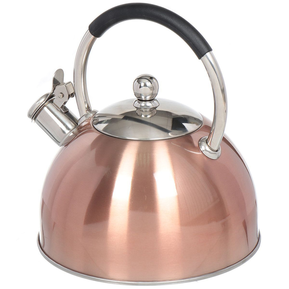 Чайник нерж, 3 л, свист, ручк с силик покр, Daniks, индукц, перламутровый, MSY-072