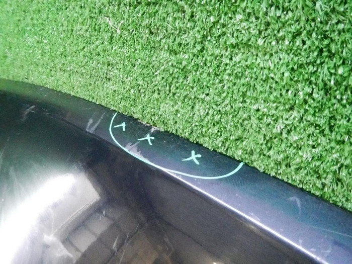 DSCN8584.jpg