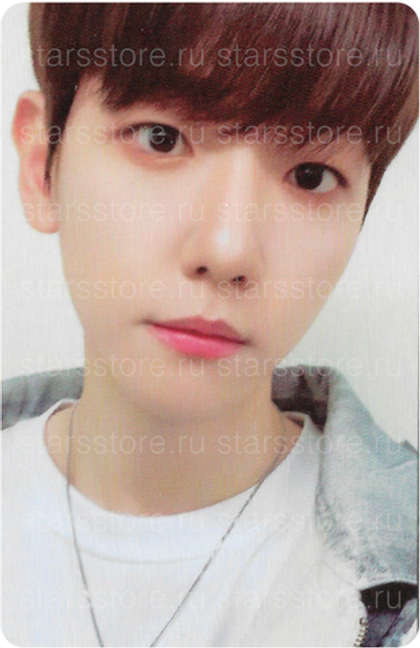Фотокарта EXO BAEKHYUN TEO-LAE-GI ZIPDURI
