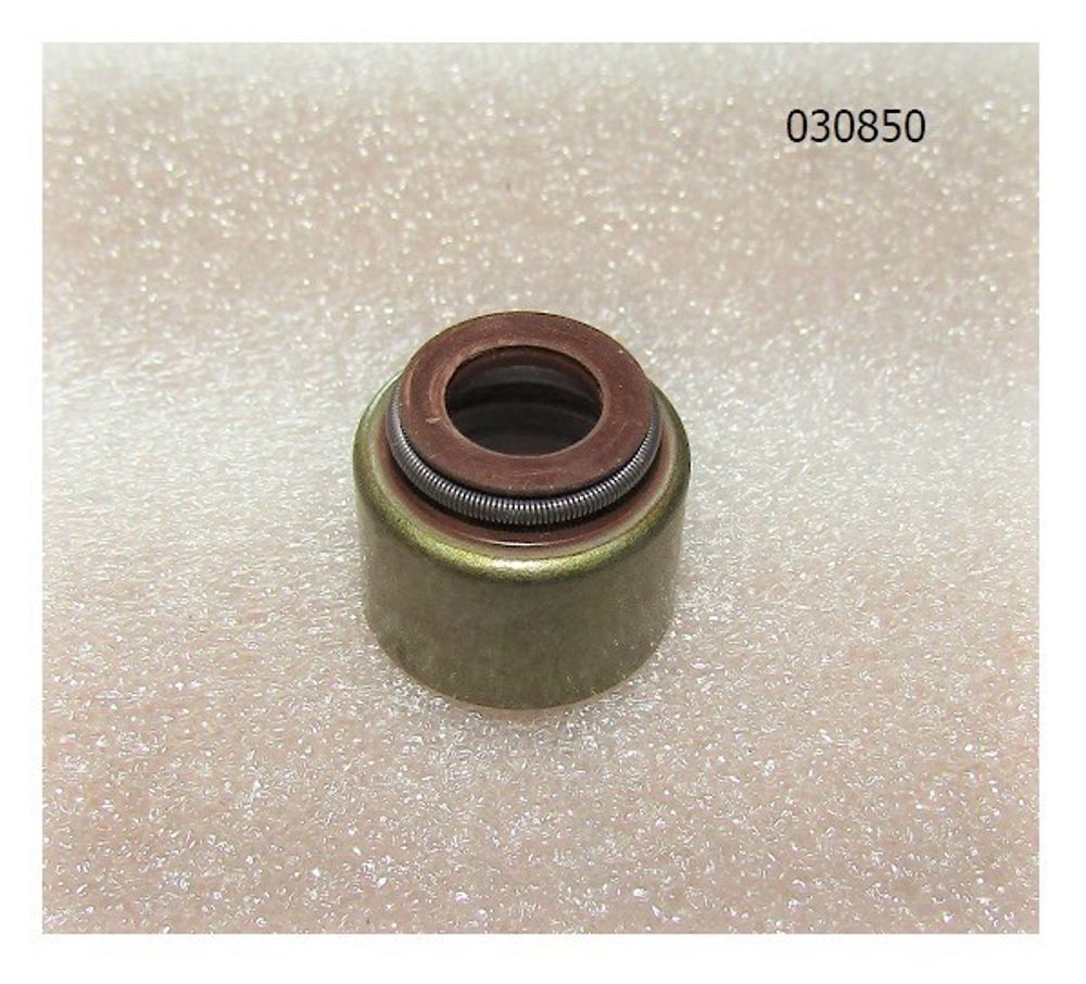 Колпачок маслосъемный TDR-K 18 4L;TDR-K 22 4L/Valve sealing assembly