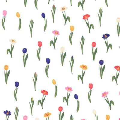 Разноцветные тюльпаны