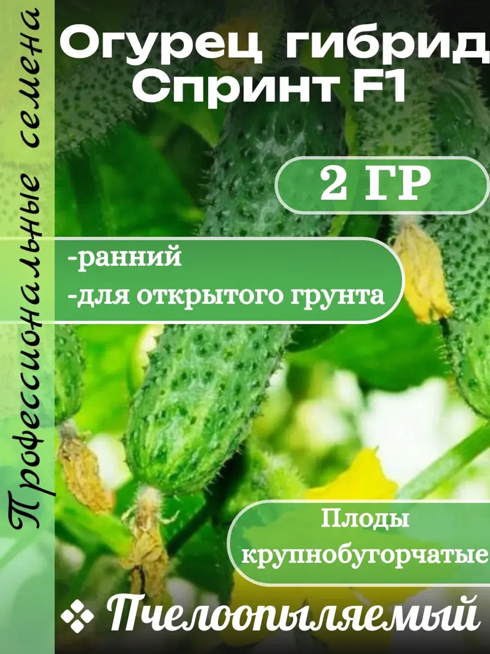 Семена Огурец гибрид СпринтF1 2 гр