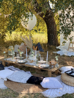 Daisy Picnic