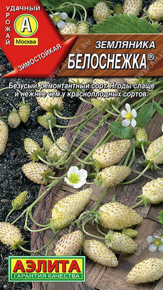 Земляника &quot;СТ. Белоснежка&quot; 0,03г., Россия.