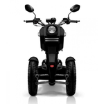 Трицикл Doohan iTank SK Trike