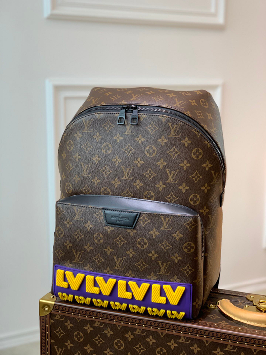 Louis Vuitton Discovery Backpack PM