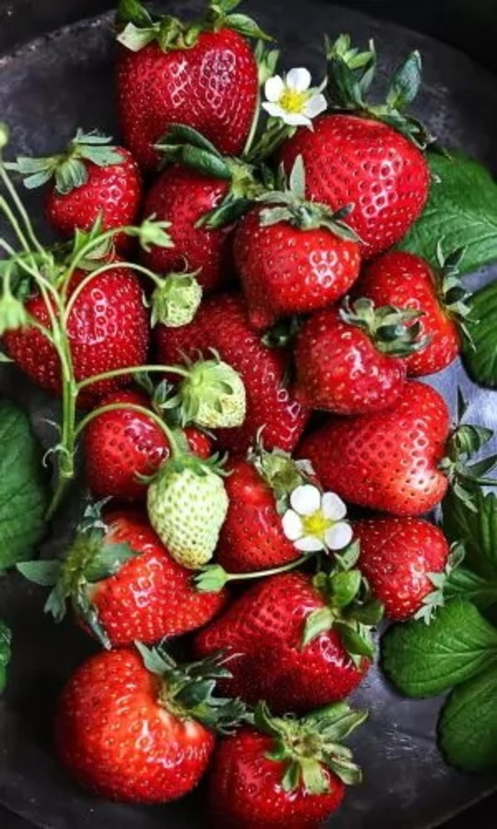 Семена Земляника Гордость Урала - крупноплодная (УД) Е/П Б/Ф