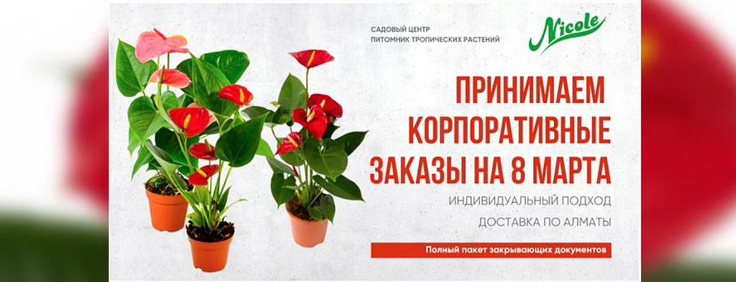 Корпоративные заказы