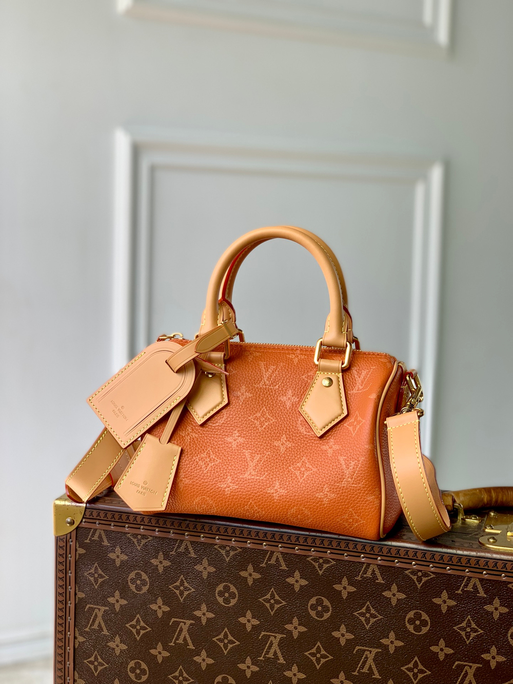 Louis Vuitton Speedy P9 Bandouliere 20