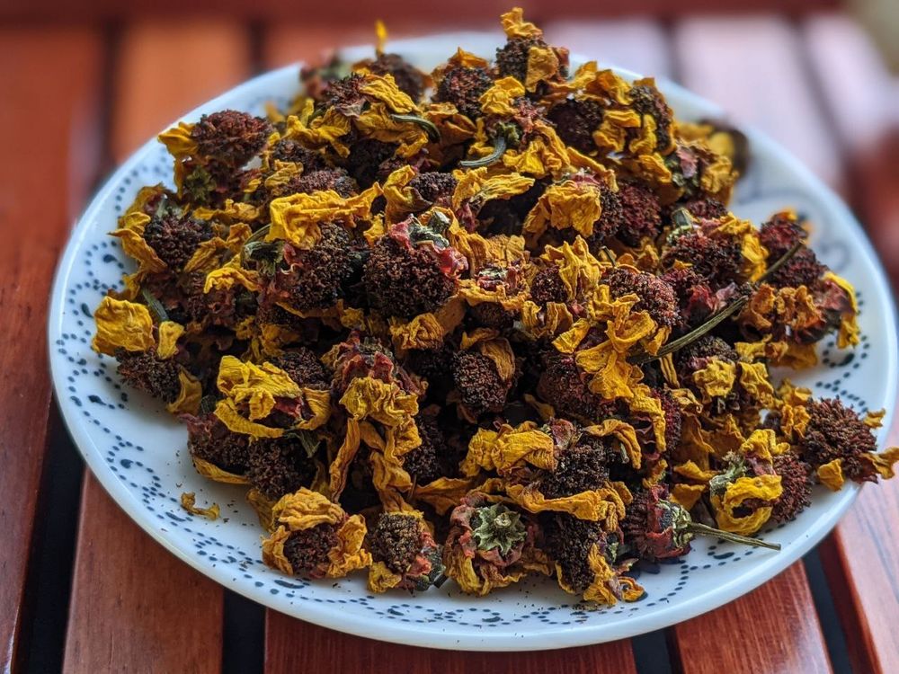 Снежная Хризантема или Тибетская Ромашка (Кунь Лунь)