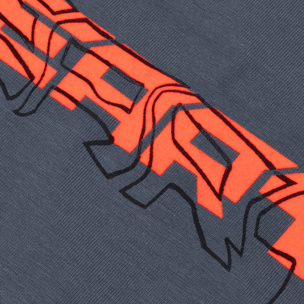 Футболка Heartz Wave Logo Black Series ED2 серая