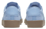 Кроссовки Nike Blazer Low (Женская размерная сетка)