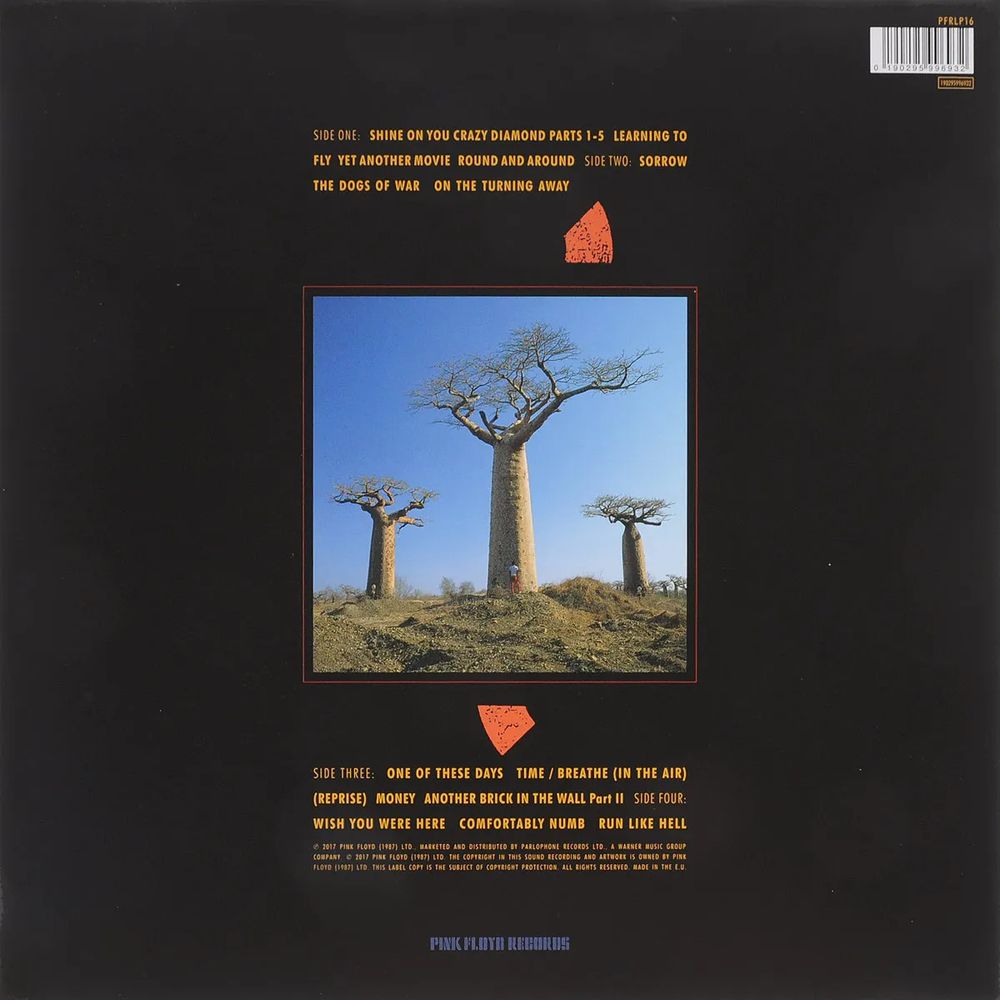 Pink Floyd. Delicate Sound Of Thunder (2 LP) Пинк Флойд