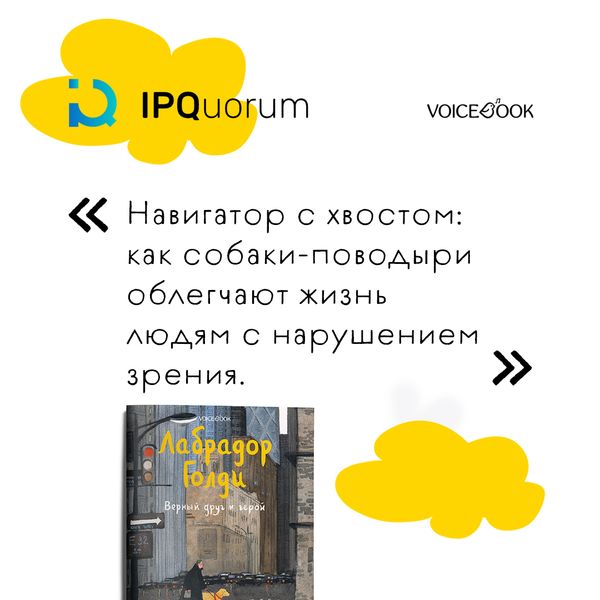 Навигатор с хвостом: как собаки-поводыри облегчают жизнь людям с нарушением зрения