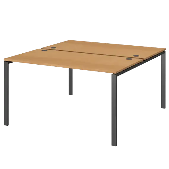 Бенч двойной на 2 рабочих места АМБ-004.60  1600x1236x760 Арго-М