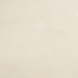 Велюр Bruno / Бруно