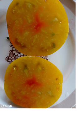 ПРЕКРАСНЫЙ МАРКА (КРАСАВЕЦ МАРК)