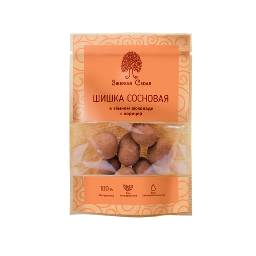 Сосновая шишка с корицей в темном шоколаде / 60 г / дой-пак / ТМ Сибирский кедр