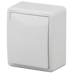 11-1201-01 ЭРА Выключатель, 10АХ-250В, IP20, ОУ, Эра Эксперт, белый | Эра Эксперт