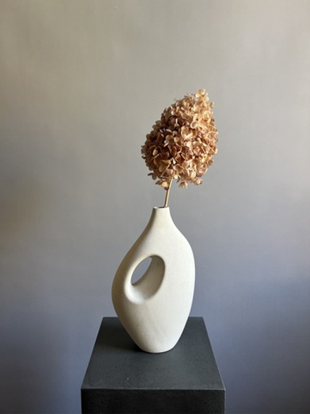 Гортензия стабилизированная кремовая крупнолистная