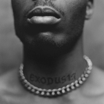 DMX / Exodus (LP)