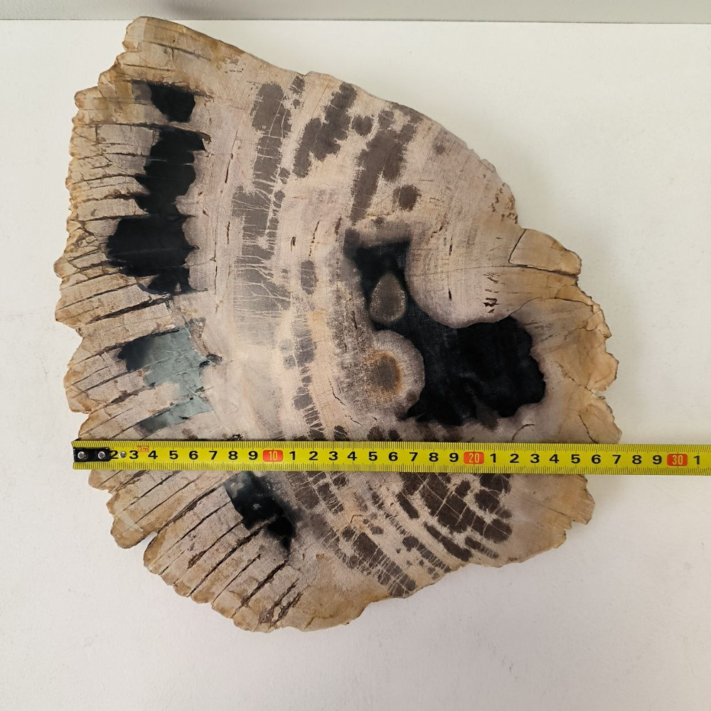 Набор из окаменелого дерева 4 предм Fossil Set NF-63297 поднос 149