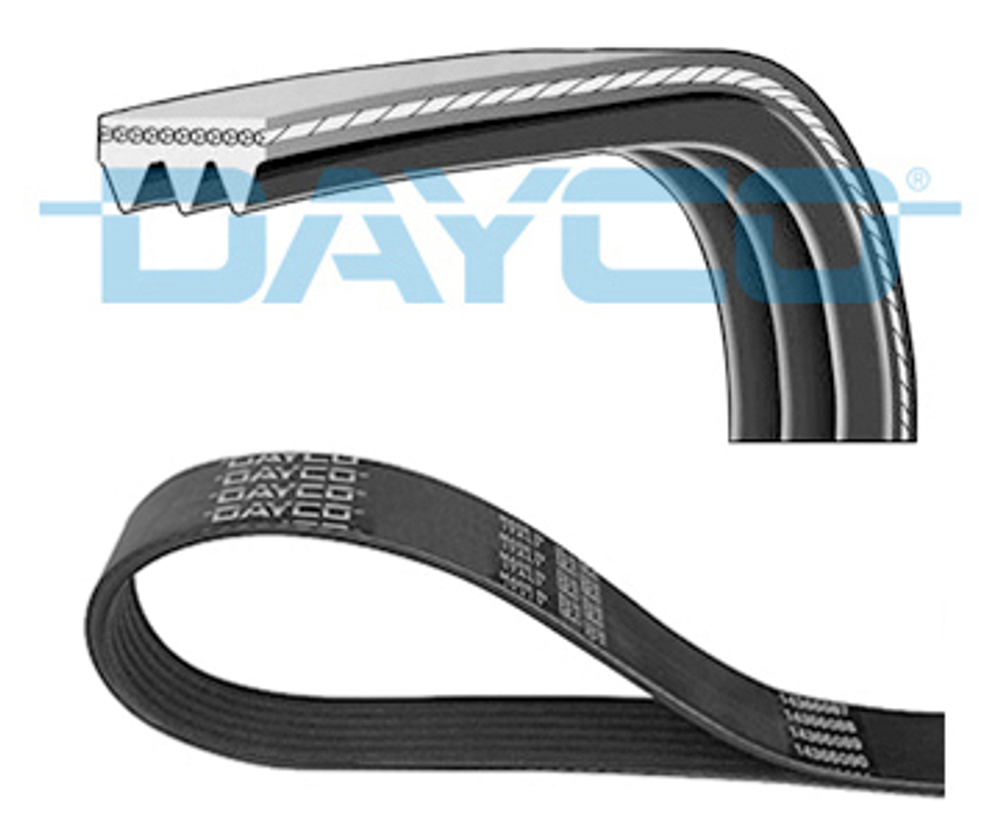 DAYCO - 3PK775EE-DAY - V-ribbed Belt