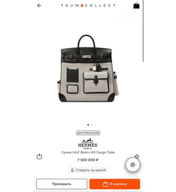 Дорожная сумка Hermes HAC Birkin 40 Cargo Toile