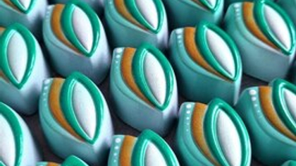 919 | Форма для шоколадных изделий (275*175 мм)