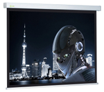 Экран  Cactus CS-PSW-127X127