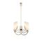 Подвесная люстра ST Luce Elegra SL1402.263.08
