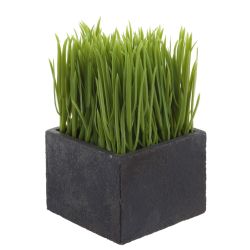 GAEM Цветочная композиция "Осока", L10 W10 H16 см