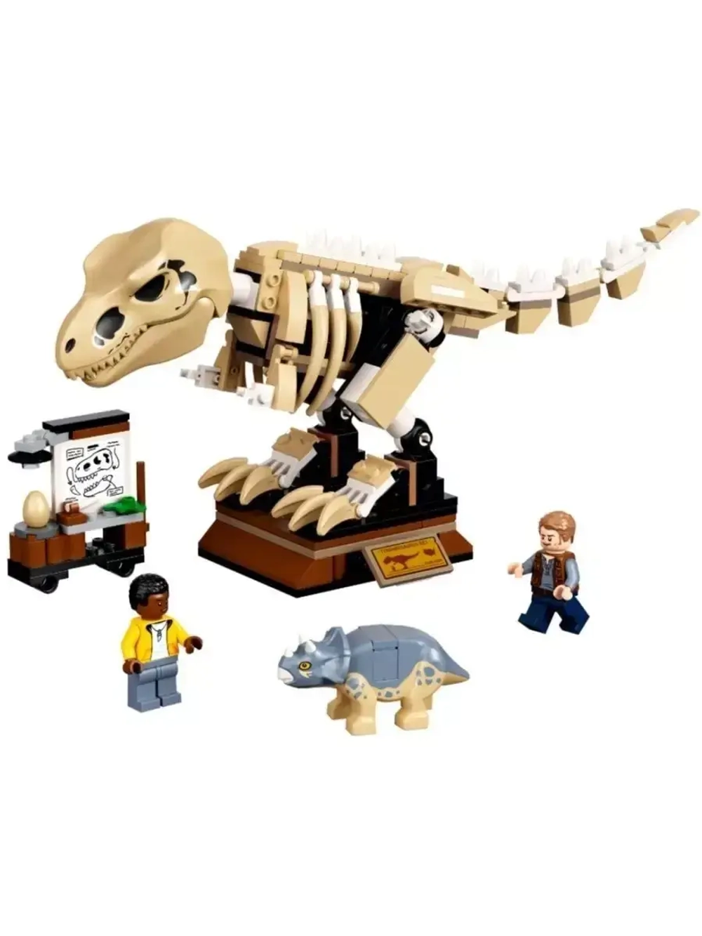 Конструктор Скелет тираннозавра на выставке 210 дет 60132