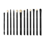 Morphe Eye Obsessed brush set