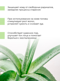 Cosmex Набор гидролат розы + гидролат Алоэ вера 100 мл