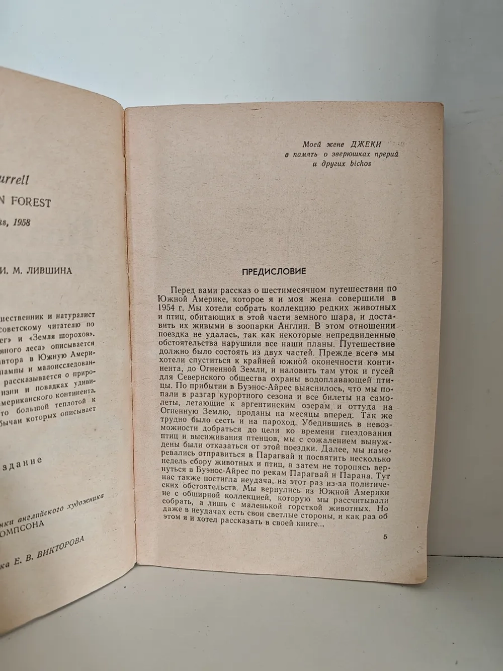 Под пологом пьяного леса