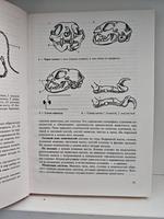 Атлас пород кошек