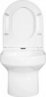 Унитаз подвесной Jacob Delafon ELITE E21742RU-00 безободковый, с крышкой микролифт, с инсталляцией и кнопкой хром