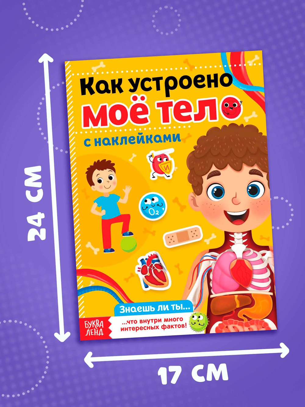 Наклейки «Как устроено моё тело», 16 стр
