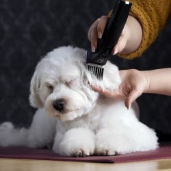 Машинка для стрижки животных Moser Arco Pro (1876-0063)