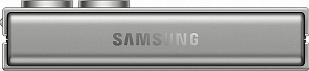 Samsung Galaxy Z Flip6 12/512Gb (SM-F741B) (Silver Shadow)