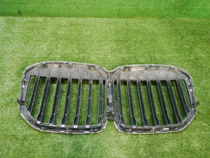 Решетка радиатора BMW X7 G07 (2019-2022)