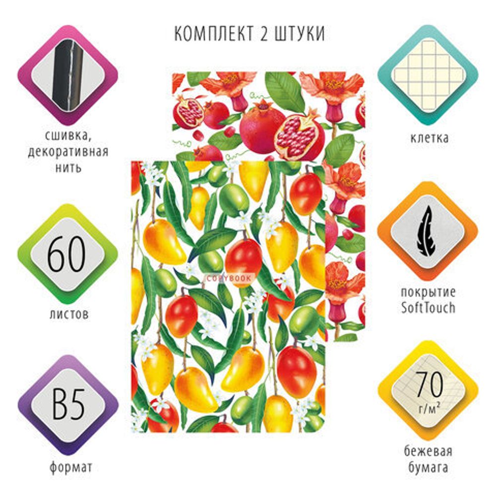 Тетради 60 л. в клетку обложка SoftTouch, НАБОР 2 шт., бежевая бумага 70 г/м2, сшивка, B5 (179х250 мм), ФРУКТЫ, BRAUBERG, 403822