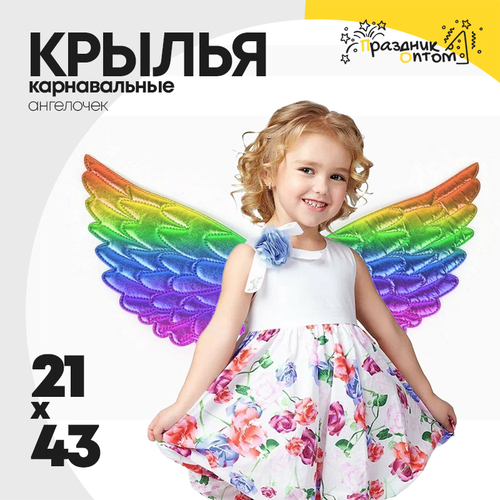 костюм 21 х 43 крылья ангелочек карнавальные (разноцветный)
