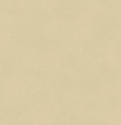 Обои матовые с иммитацией штукатурки BLONE1008